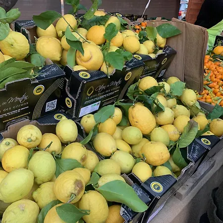 Cosy 2 Pieces Proche Et Monaco Μεντόν